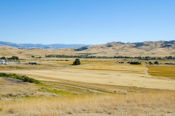 Obraz premium A drought affecting agricultural fields, with parched soil and withered crops under a cloudless sky. 
