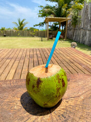 Cold and refreshing coconut by the pool on a summer day in Alagoas - Brazil. 