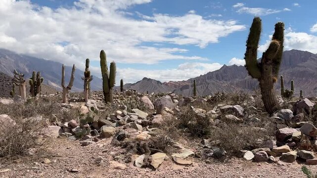 Pucara Tilcara Argentina Cactus Desert 4K