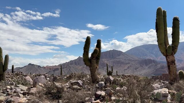 Pucara Tilcara Argentina Cactus Desert 4K