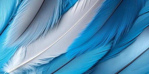 Collection of exquisite blue bird feathers showcasing varied textures and stunning shades of azure