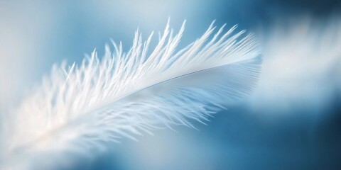 Shimmering blue bird feathers glisten with intricate details under soft light