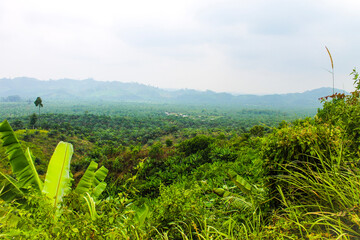 Beautiful natural scenery. This photo was taken on February 14 2015 in Bungo Regency, Jambi...