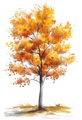 Autumn Watercolor Painting of a Single Tree