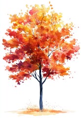 Watercolor Painting Of A Single Autumn Tree