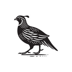 Black Color Quail silhouette design Vector Illustration, Solid White Background (1).eps