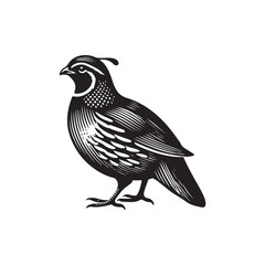 Black Color Quail silhouette design Vector Illustration, Solid White Background (12).eps