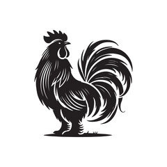 Black Color Silkie Chicken silhouette design Vector Illustration, Solid White Background (2).eps