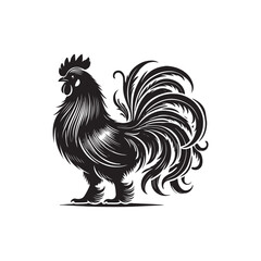 Black Color Silkie Chicken silhouette design Vector Illustration, Solid White Background (9).eps