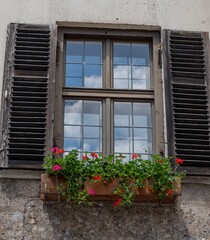 Wooden window with shutters with blooming flowers in pots in the wall of an old house