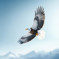 Fototapeta premium Majestic Eagle Soaring Against a Serene Sky