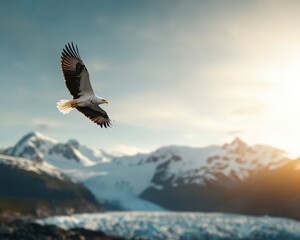 Fototapeta premium Majestic Eagle Soaring Over a Glacial Landscape
