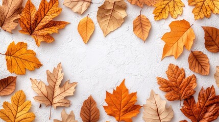 Fototapeta premium Autumn leaves frame on white background, fall design, copy space