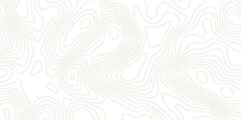 Topography background. Vector banner. Topography background. Vector geographic contour map. Topographic map lines, contour background. Background of the topographic map.  © Sk