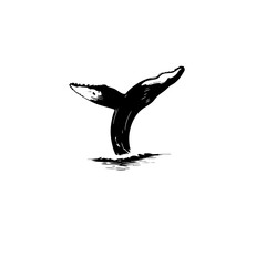 Fototapeta premium Whale Vector Logo Design