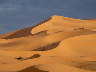 Sand Dune Patterns - Sahara Desert
