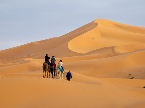 Tourisdts on camels in the nSahara Desert Sand Dunes