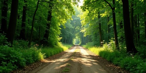 Fototapeta premium Sunlit Path Through Verdant Forest Canopy, Leading to a Serene and Tranquil Destination