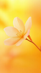 Obraz premium Elegant Photograph of a Single White Flower on a Soft Yellow Background for Botanical Decor and Nature Inspiration