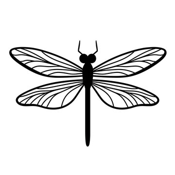 dragonfly black outline for logo 