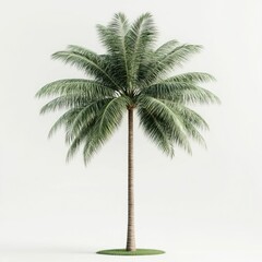 Obraz premium Majestic Giant Palm Tree in Idyllic Tropical Paradise Featuring Vibrant Green Foliage and Earthy Tones Isolated Against a White Background with Soft Lighting and Stylized Realism