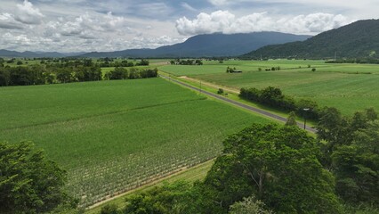 Australian farming fields, cane farmers, remote road, far north queensland