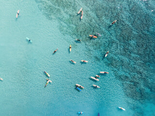 Drone Aerial View of Surfers Riding Waves in Hawaii Sea with Surfboards in the Blue transparent Ocean 