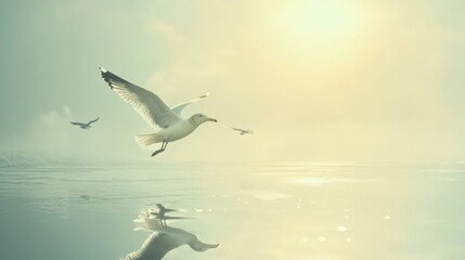 A seagull is flying over the water, with the sun reflecting off the water