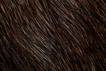 brown fur texture