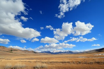 Vast, sunny plain with golden grass, snow-capped mountains under a bright blue sky scattered with fluffy white clouds.
