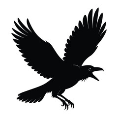 a crow in mid flight with its beak open on white background.