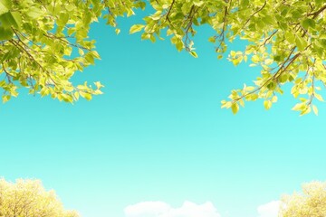 Obraz premium Tree with green leaves under clear blue sky in natural outdoor landscape