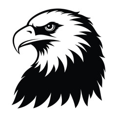 eagle head vector illustration