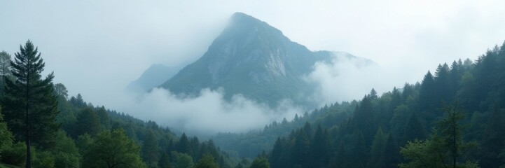 Misty peak rises from forest floor, shrouded in grey fog, misty, landscape, trees