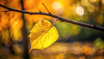 Obraz premium Autumn Garden Solitude: Lone Yellow Leaf Photography - Rule of Thirds Composition