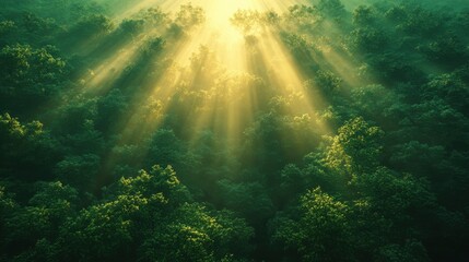 Obraz premium Enchanted Forest: Abstract Art of Serene Woods with Mystical Fog and High Contrast