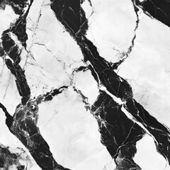 Exquisite Monochrome Marble Texture with Intricate Patterns