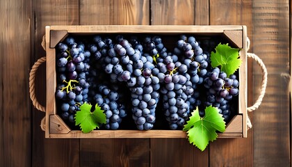 Harvesting fresh grapes vineyard fruit arrangement rustic setting top view nature's bounty