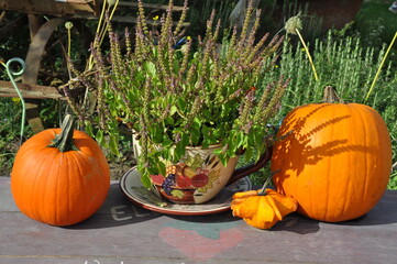Pumpkins and teacup table decoration.
