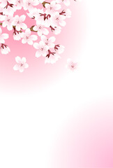 桜　和柄　水彩　背景