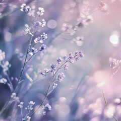 Naklejka premium Delicate Violet Flowers in Dreamy Soft Floral Background