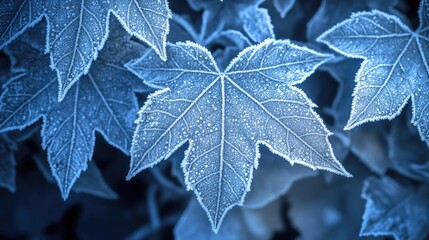 A close-up of icy, frosted leaves in a calm winter setting, glowing softly in cool blue tones. The frost crystals highlight the intricate patterns on the leaves, capturing the serene beauty of winter.