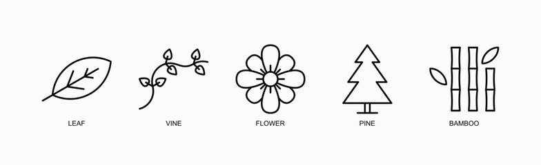 Nature Elegance Icon Set Isolated Vector With Icon Of Leaf, Vine, Flower, Pine, Bamboo In Outline Style