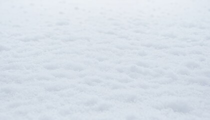 Obraz premium A close-up of a snow isolated on white background. 