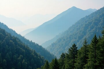 Fototapeta premium Mountain landscape with towering trees and foggy smoke, smoke, natural
