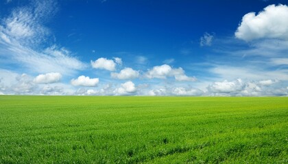 Vast green field under a bright blue sky with fluffy white clouds.