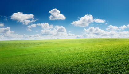 Obraz premium Serene green field under a vibrant blue sky dotted with fluffy white clouds.