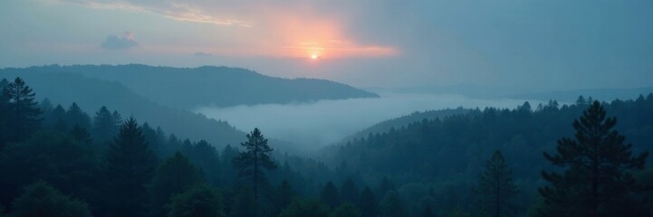 Dark clouds surround a forest shrouded in misty fog, dark clouds, misty