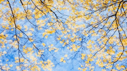 Fototapeta premium Autumn Leaves Reflected in Water, Golden Hues