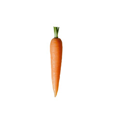 Fresh carrot transparent background vegetable studio environment close-up view